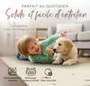 carpetfine Tapis de laine Gabbeh Uni couloir Blanc 75x240 Voir les images du produit 5