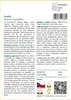 SAFLAX - Arašíd - Arachis hypogaea - 8 Semena Náhled obrázku produktu 3