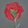 artplants.de Künstliche Nelke NIRUSHA, rot, 65cm - Kunst Produktbild-Vorschau 4