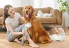Zestaw Do Pielęgnacji Zwierząt Neakasa S1 Pro Podgląd zdjęcia produktu 9