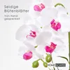 HOMESCAPES Künstliche weiße Phalaenopsis-Orchidee im grauen Produktbild-Vorschau 3