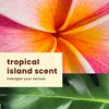 Hawaiian Tropic | Spray solare SPF 15 - 170 g - Anteprima dell’immagine prodotto 5