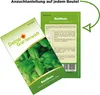 Cocktailkräutersamen Set - 7 Sorten Samen - Saatgut Produktbild-Vorschau 4