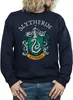 Harry Potter - "Slytherin" Sweatshirt für Herren BI27519 Produktbild-Vorschau 3