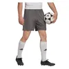 adidas Entrada 22 Fußball Shorts Herren tegrfo L Produktbild-Vorschau 10