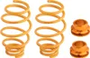 MaXpeedingrods Gewindefahrwerk for Ford Fiesta V MK5 02-08 Produktbild-Vorschau 4