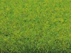 NOCH 00020 Tapis d'herbe "Prairie de printemps" 300 x 100 Voir les images du produit 3