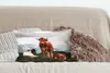 MuchoWow® Zierkissen Sofakissen Wohnzimmer Dekokissen 50x30 Produktbild-Vorschau 4