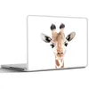MuchoWow® Laptop Aufkleber Sticker Cover Giraffe - Tiere - Produktbild-Vorschau 6