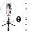 AGFAPHOTO Trépied de table + anneau LED Agfaphoto ARL11 Voir les images du produit 7