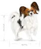 Royal Canin 3182550793735, Dospelý, Akékoľvek plemeno, Náhľad obrázku produktu 4