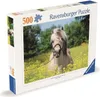 Ko na polu rzepaku Ravensburger 12000210 Podgląd zdjęcia produktu 7