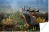 MuchoWow® Poster Rehe - Pflanzen - Nebel 180x120 cm - Produktbild-Vorschau 1