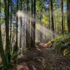 Korsch Kalender 2027 Magische Wälder mit großem Bild und Produktbild-Vorschau 12
