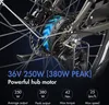 FAFREES 26 Zoll E-Bike 25 km/h 250W Motor 36V 10Ah Produktbild-Vorschau 8