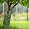 Protection des arbres contre les dégâts causés par le Voir les images du produit 7