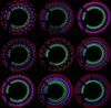 32LED DIY Fahrradlicht Bunte Fahrradrad Speichenlicht Produktbild-Vorschau 3
