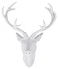 XXL Hirschgeweih Hirschkopf Geweih 10-Ender Weiß 48x32x61cm Figur Skulptur Produktbild-Vorschau