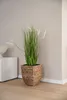VIVANNO Pot de fleurs jacinthe d'eau ASIA cube, naturel Voir les images du produit 2
