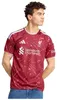 Trikot Adidas Liverpool FC 26/27 Home Jersey "Active Productafbeelding-voorbeeld 1