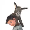 Folkmanis Baby Donkey, Handpuppe, Tier, 1 Stück(e) Produktbild-Vorschau 4