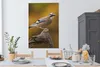 MuchoWow® - Leinwandbilder - Vogel - Zweig - Eichelhäher, Produktbild-Vorschau 3
