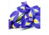 Fototapete - Iris 225x250cm - Vliestapete Produktbild-Vorschau 9