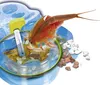 Clementoni Galileo Triops Nachfüllset Produktbild-Vorschau 9