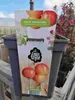 Jabloň okrasná 'Red Sentinel' 100-120 cm - Jabloň - Malus Náhled obrázku produktu 1