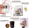 GROW2GO Bonsai Startpakket, inclusief GRATIS e-book - Productafbeelding-voorbeeld 2