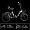 Remington R100 E Bike Dreirad 20 Zoll Elektrodreirad Produktbild-Vorschau 2