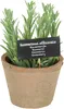 Esschert Design Kunst-Rosmarin in AT Topf L; AH012 Produktbild-Vorschau 4