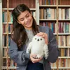 Harry Potter Interactieve Uil Hedwig Productafbeelding-voorbeeld 26