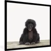 MuchoWow® Gerahmtes Poster Kind - Affe - Schimpanse - Produktbild-Vorschau 1