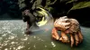 Skull Island - Rise of Kong (Nintendo Switch) Produktbild-Vorschau 6