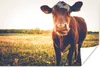 MuchoWow® Poster Kuh - Sonnenuntergang - Blumen - Gras - Produktbild-Vorschau 1