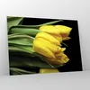 Bilder auf glas - Tulpen Strauß Spiegelreflexion grün - Produktbild-Vorschau 4