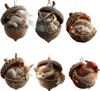 A collage of six different animal ornaments, each nestled inside a brown acorn shell. The animals include a rabbit, owl, hedgehog, squirrel, fox, and cardinal. Produktbild-Vorschau