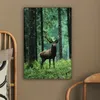 MuchoWow® - Leinwandbilder - Hirsche - Wald - Bäume - Tiere Produktbild-Vorschau 5