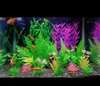 Aquarium Pflanzen Deko, Aquarium Zubehör Deko,Schildkröte Produktbild-Vorschau 2