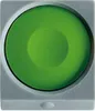 A top-down view of a single pan of green watercolor paint within a gray plastic casing. Náhled obrázku produktu