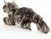 A plush cat toy lying down on a white background. Produktbild-Vorschau