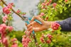 Gardena Bypass-Gartenschere EasyCut Produktbild-Vorschau 3