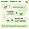 Green Guardia Florfliegenlarven gegen Blattläuse und Produktbild-Vorschau 4