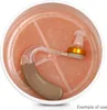 JB White Trockendose mit 2 Stück XXL (78mm / 40g) Produktbild-Vorschau 3
