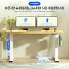 A FlexiSpot height-adjustable desk with dual monitors, a keyboard, and accessories, set in a home office environment with a decorative cat outline. Podgląd zdjęcia produktu