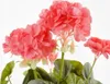 Géranium Artificiel Saumon Beauté Florale éternelle Sans Voir les images du produit 3