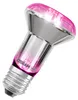 Rostlinná lampa OSRAM LED Star se žárovkou a paticí E27 o Náhled obrázku produktu 1