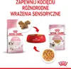 A marketing image showing Royal Canin kitten food in different formats. Produktbild-Vorschau