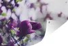 MuchoWow® Produktbild-Vorschau 1